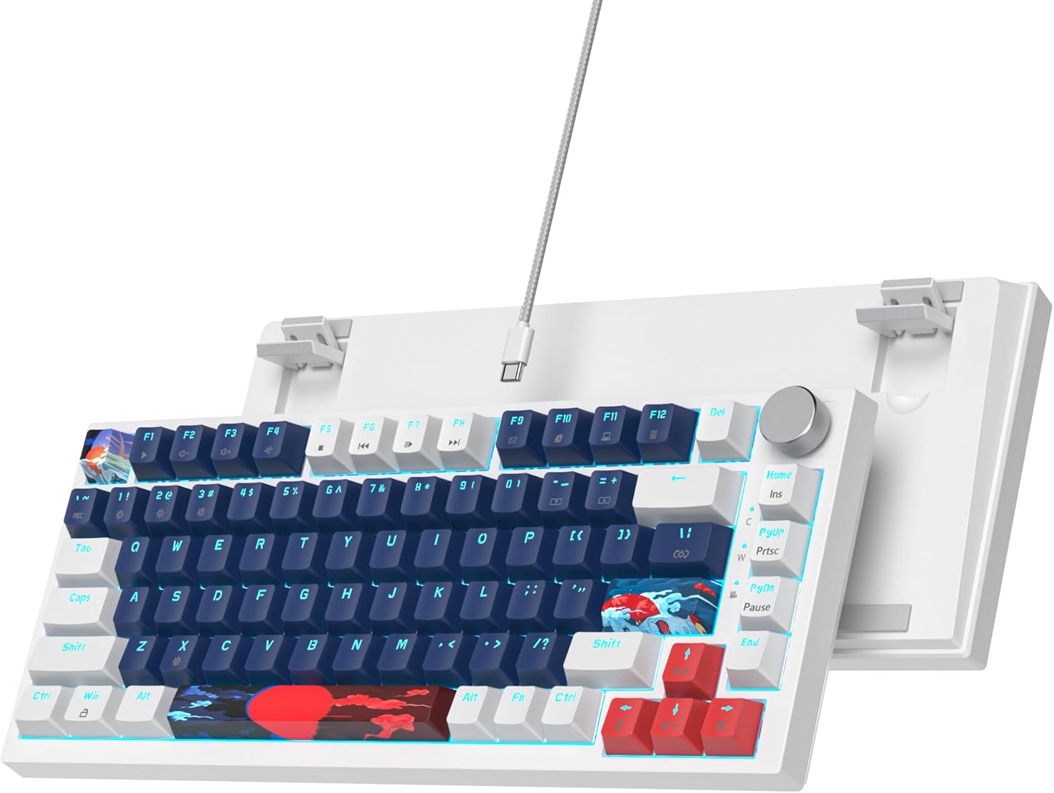 Ussixchare 75% Mechanical Gaming Keyboard Wired Gasket Mount Keyboard 82 Keys Hot Swappable Keyboard RGB Backlit Knob TKL Keyboard for PC Laptop Windows Gamer(Blue Earth)